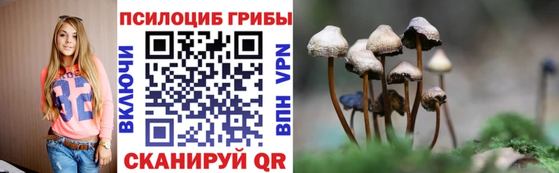 Псилоцибиновые грибы Magic Shrooms  Карабулак 
