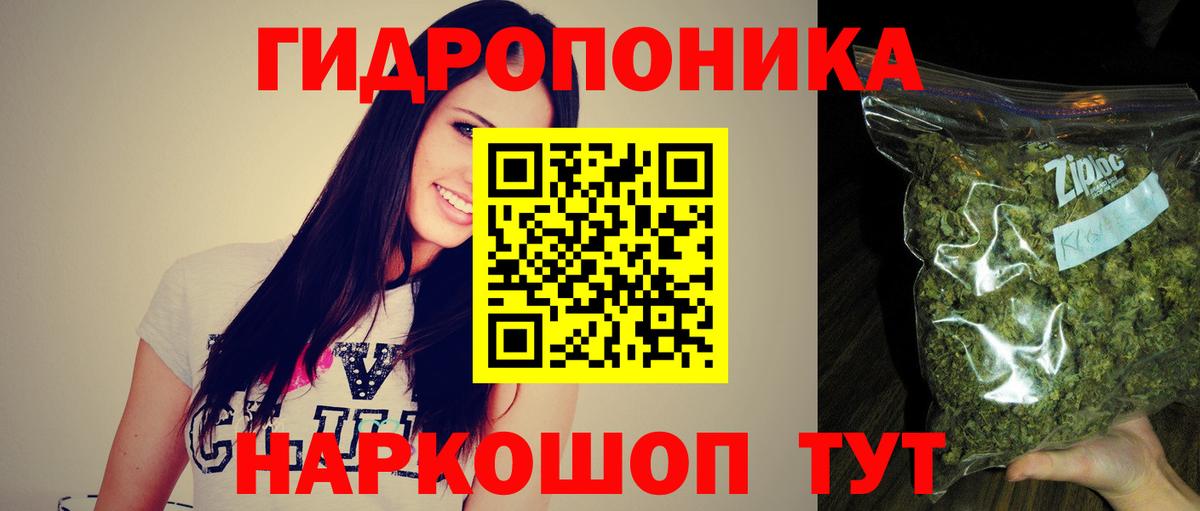 Карабулак  Каннабис Ganja  Бошки Шишки OG Kush  Бошки марихуана гибрид  Вход с VPN  Конопля тримм 